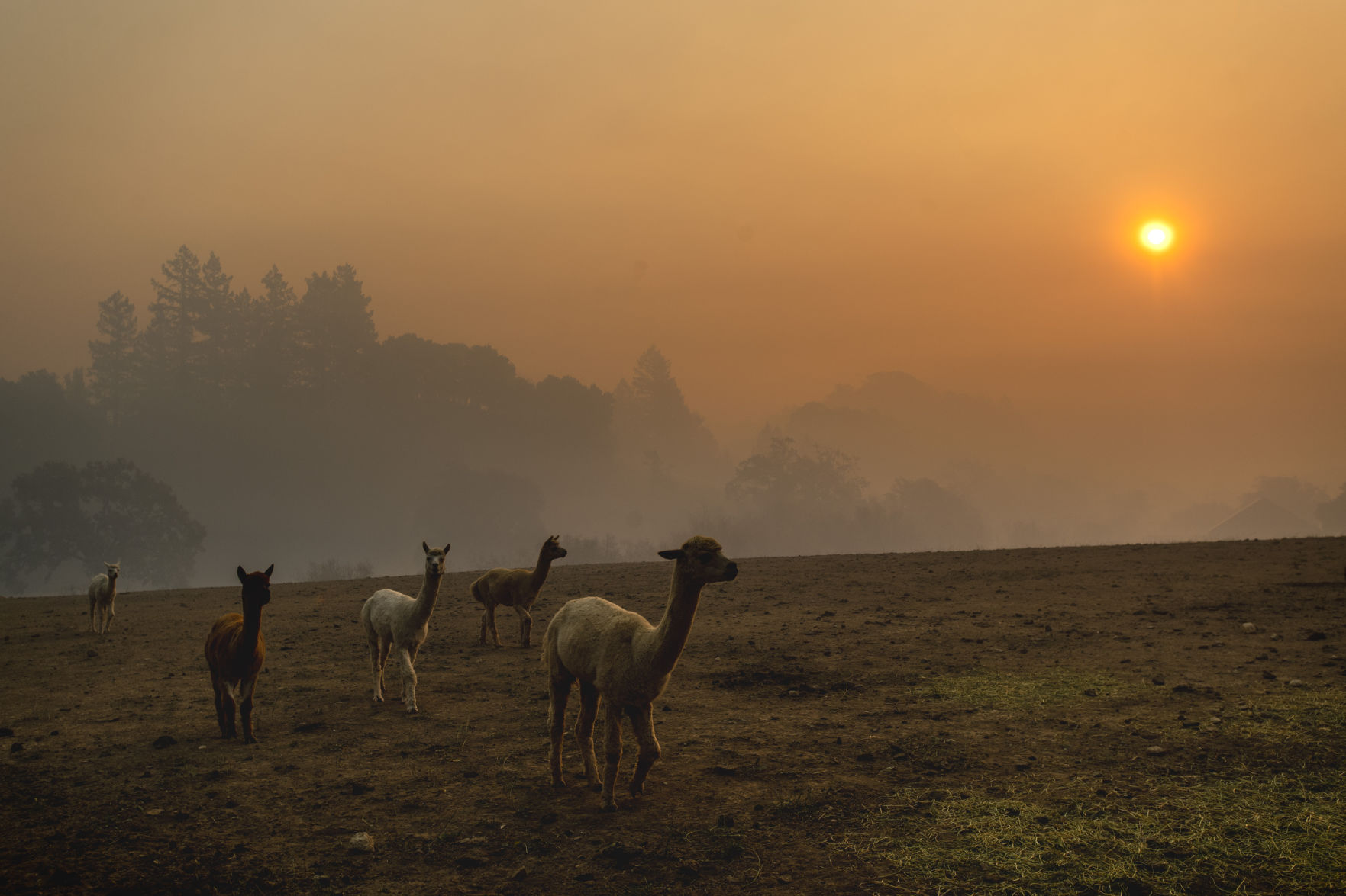 APTOPIX California Wildfires Blackout